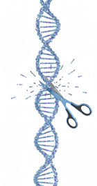 Business Model Innovant